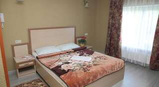 Гостиница Садко Лосино-Петровский Стандартный двухместный номер с 1 кроватью или 2 отдельными кроватями-2